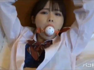 鸟之诗博雅奴